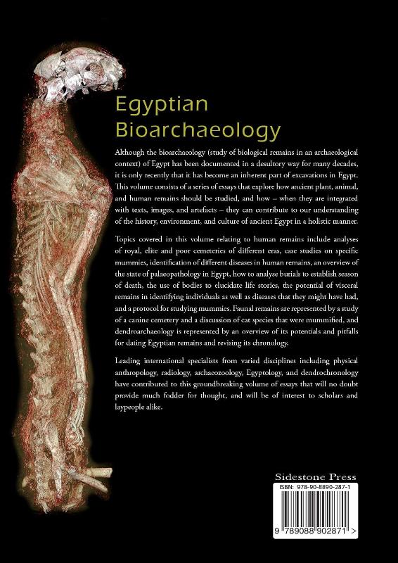Achterkant van Egyptian bioarchaeology