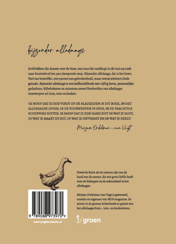 Achterkant van Bijzonder alledaags