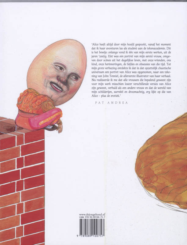 Achterkant van Alice in Wonderland