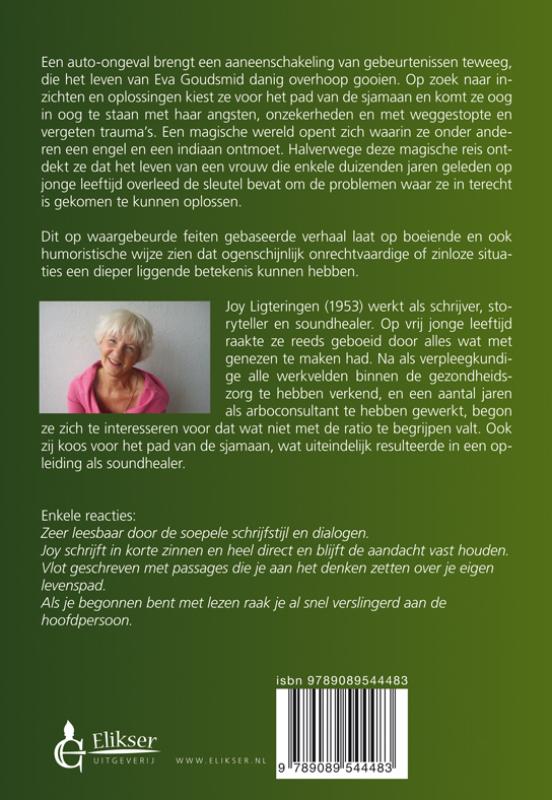 Achterkant van De terugkeer van de healers