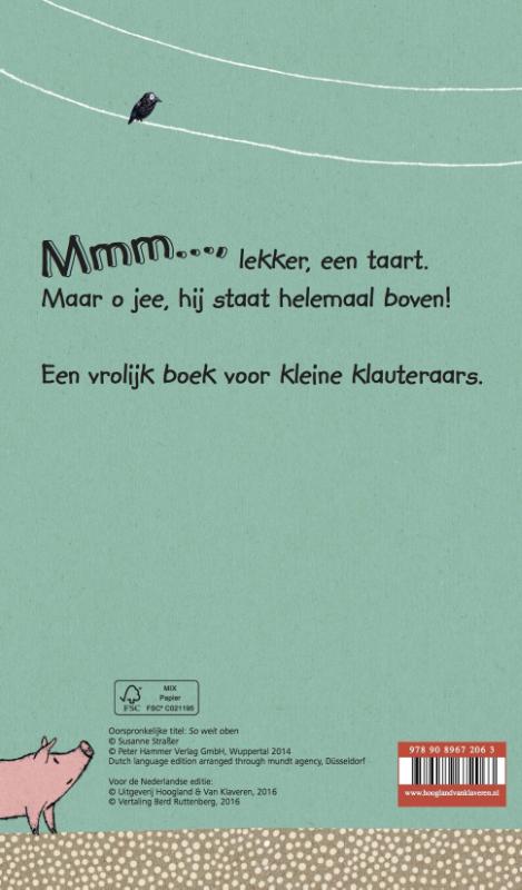 Achterkant van Mmm... een taart!