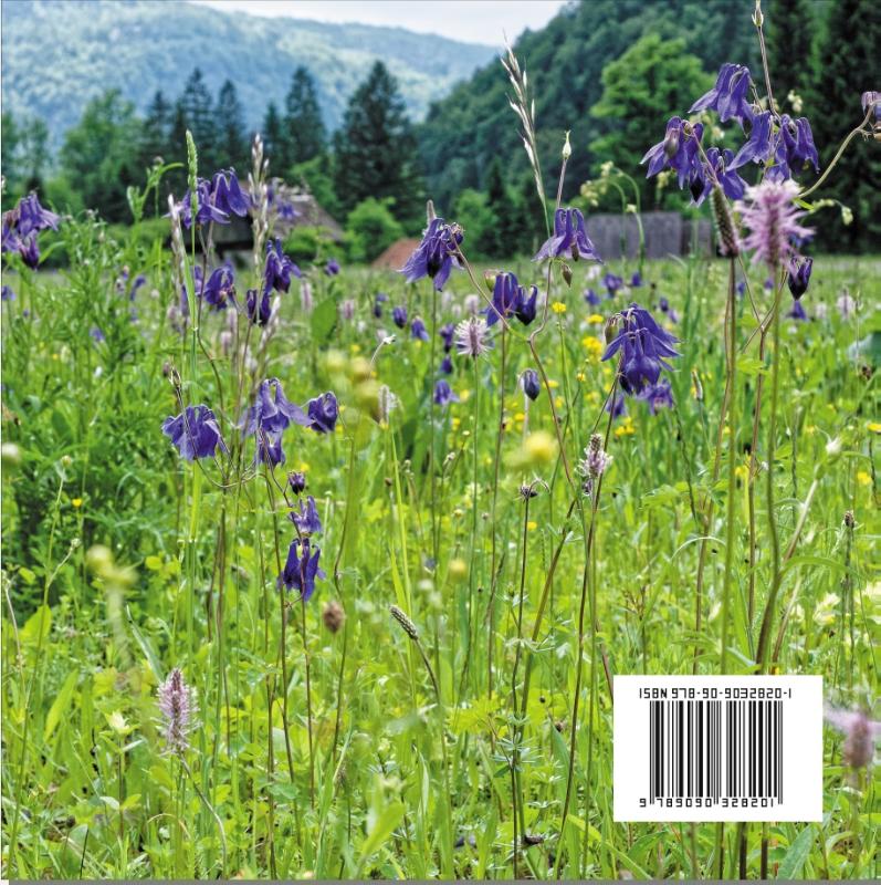 Achterkant van Planten langs wandelpaden Bohinj Slovenië