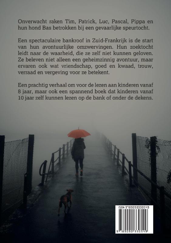 Achterkant van De raadselachtige bankroof