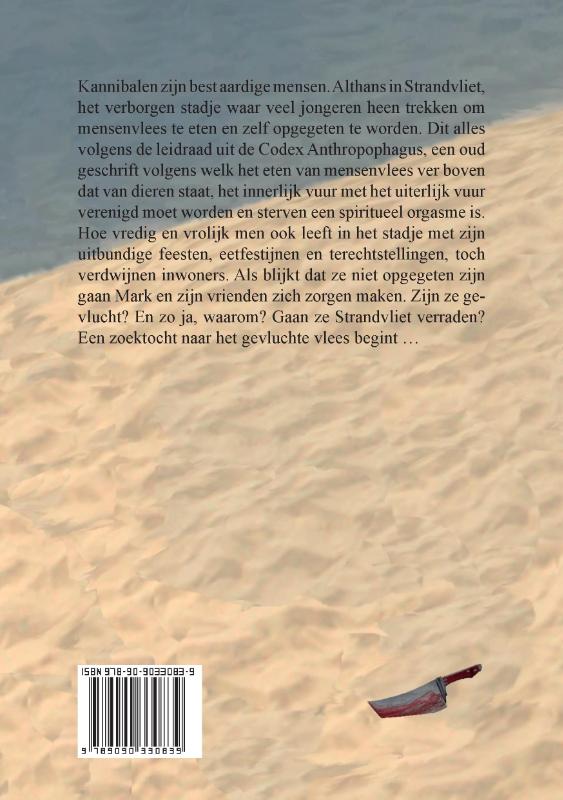 Achterkant van Strandvliet