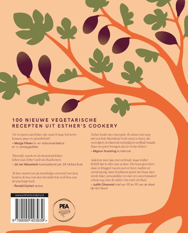 Achterkant van Vegatov