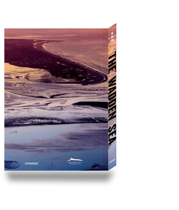 Achterkant van THE WADDENSEA
