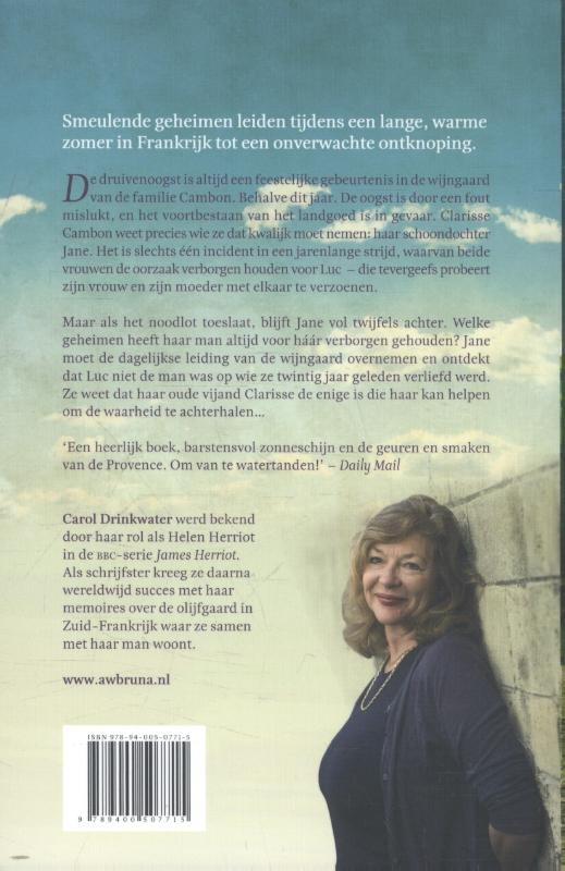 Achterkant van De vergeten zomer