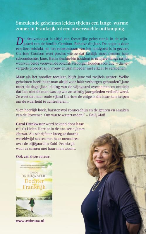 Achterkant van De vergeten zomer