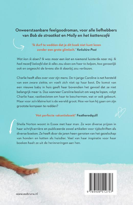 Achterkant van Charlie, de kat die een leven redde