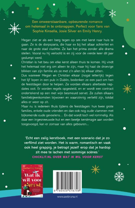 Achterkant van Ingesneeuwd met kerst