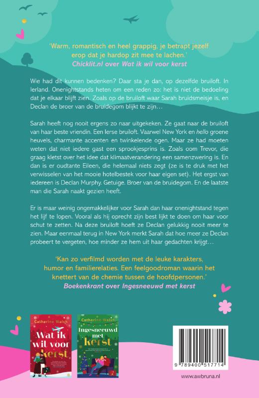 Achterkant van Niet meer dan een nacht