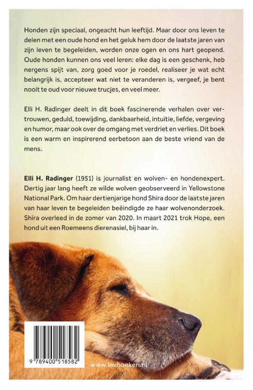 Achterkant van Oude wijze honden