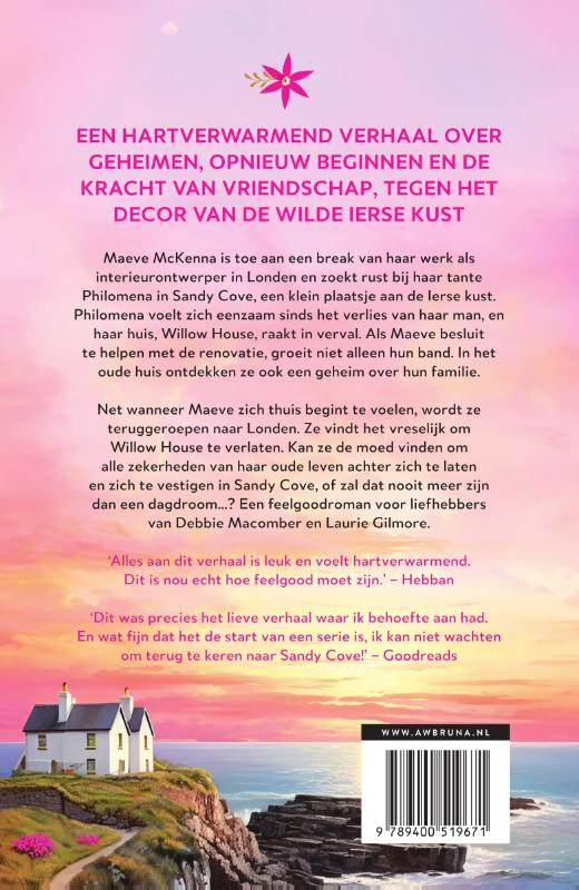 Achterkant van Geheimen van Willow House