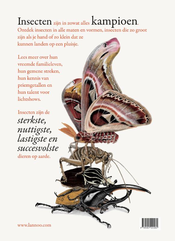 Achterkant van Het wonderlijke insectenboek