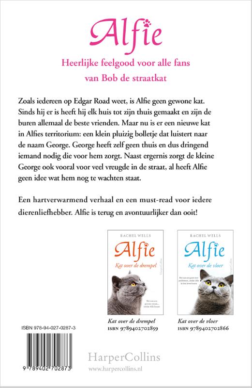 Achterkant van Kat voor de deur