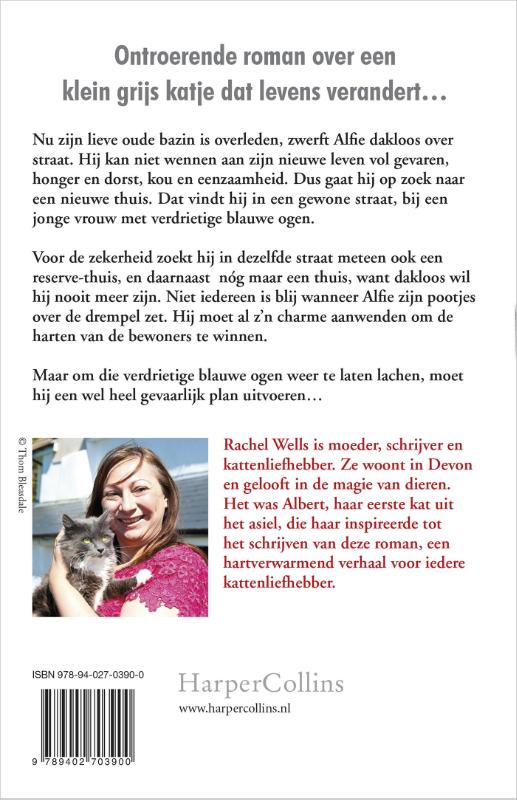 Achterkant van Kat over de drempel