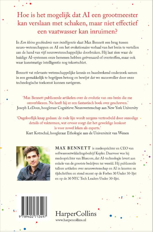 Achterkant van Een kleine geschiedenis van intelligentie