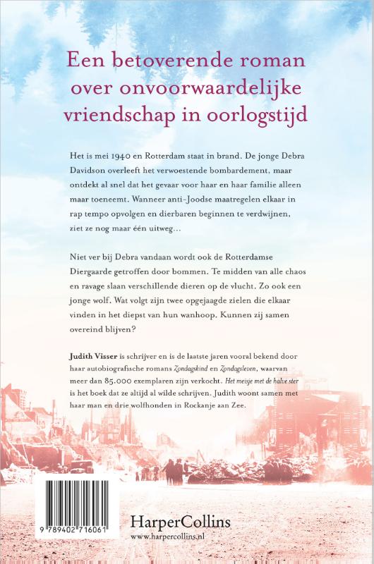 Achterkant van Het meisje met de halve ster