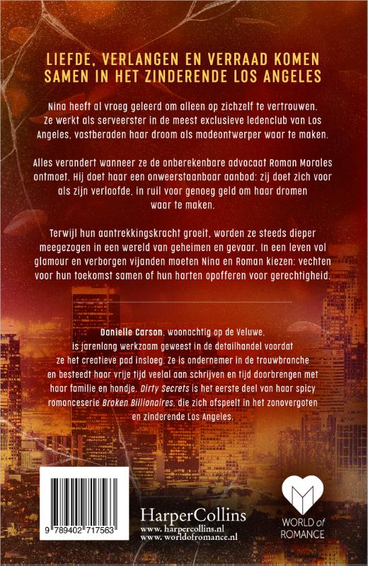 Achterkant van Dirty Secrets