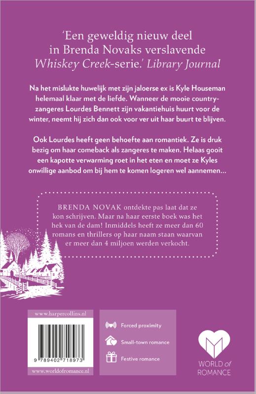 Achterkant van Rozen in de sneeuw