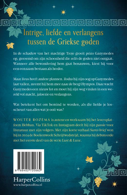 Achterkant van Ganymedes