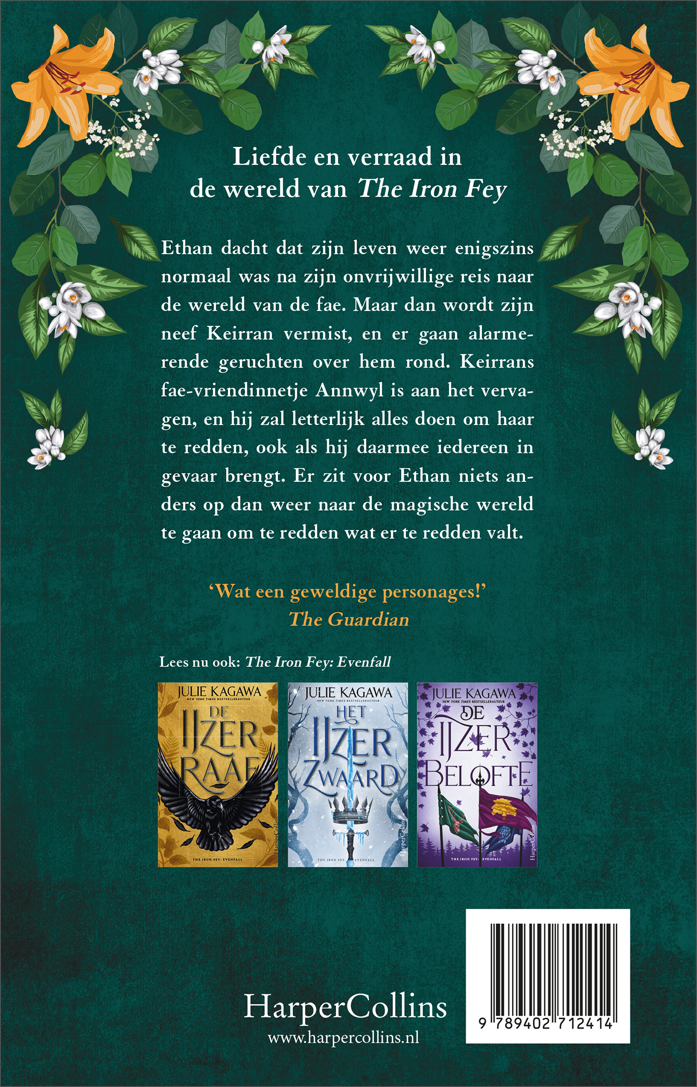 Achterkant van De duistere fae