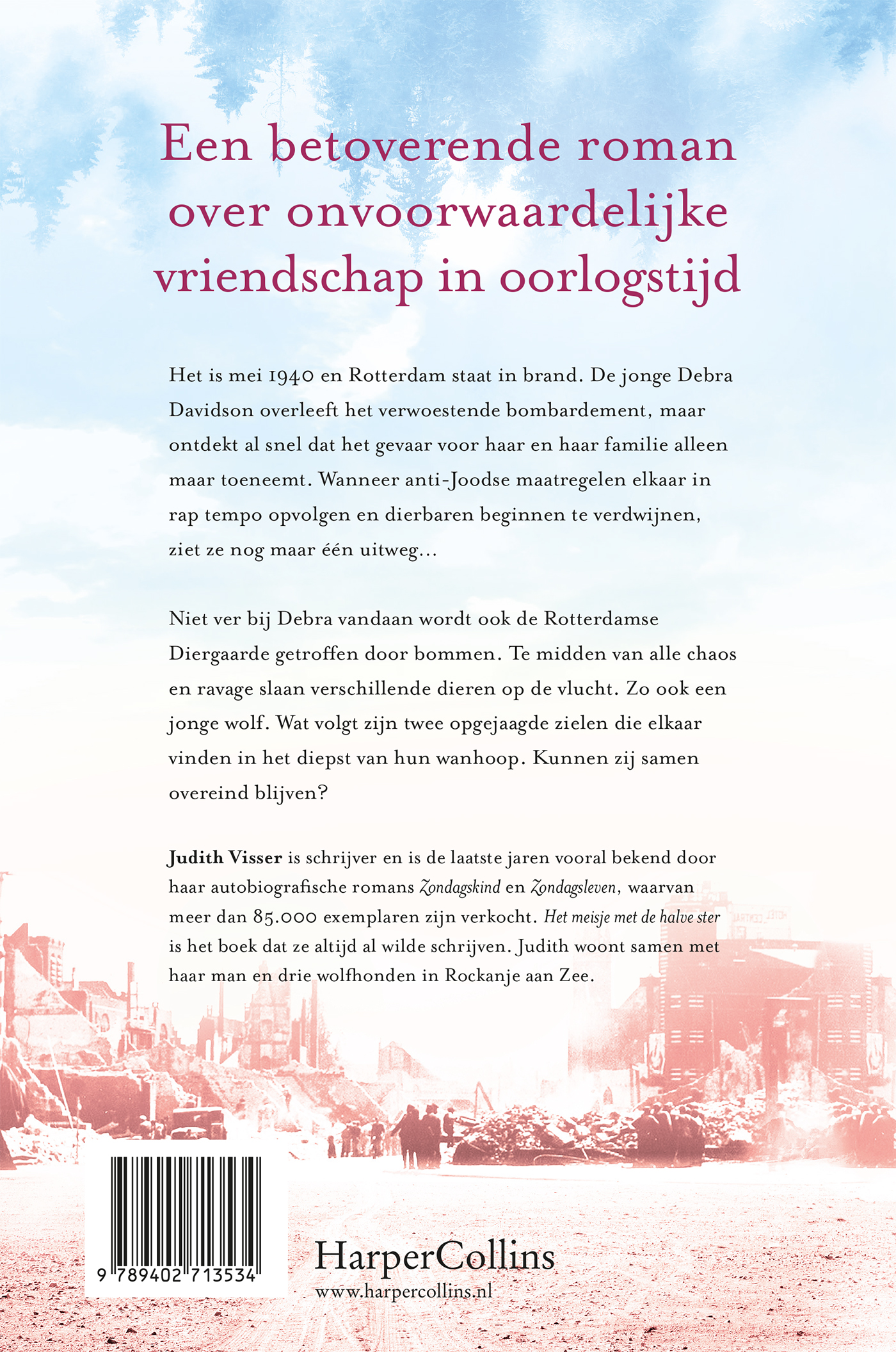 Achterkant van Het meisje met de halve ster
