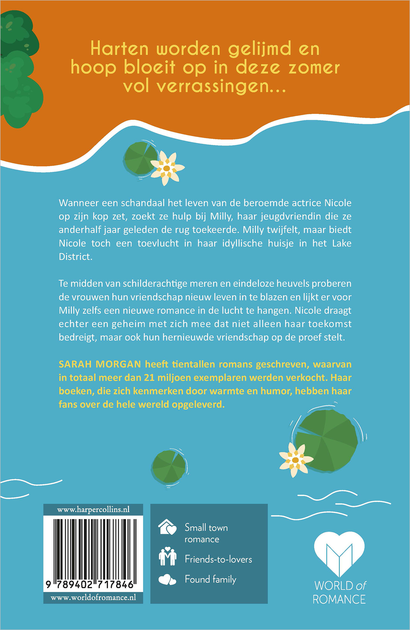 Achterkant van De beste zomer ooit