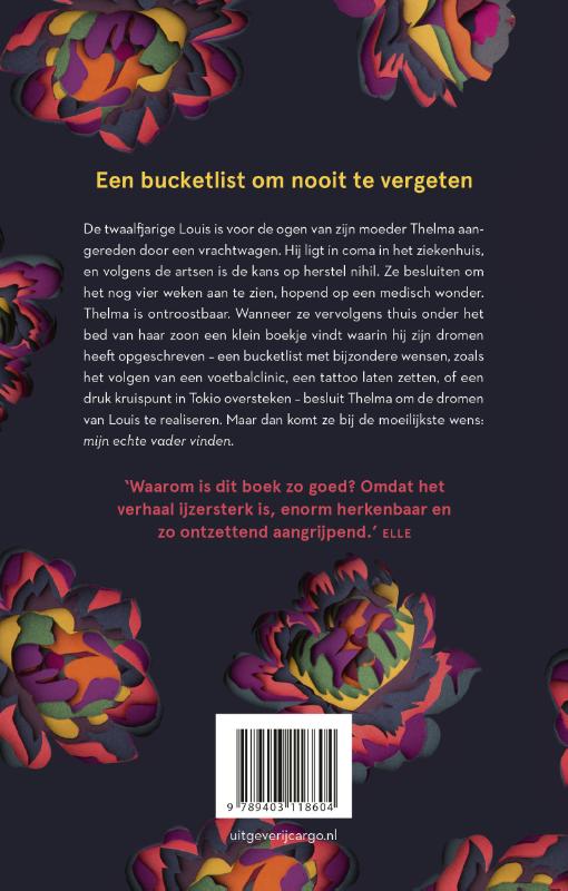 Achterkant van De droomlijst