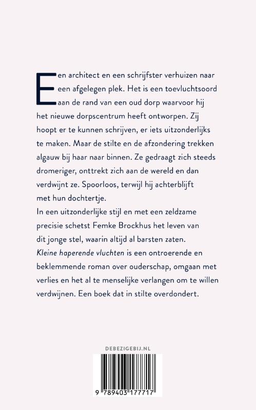 Achterkant van Kleine haperende vluchten