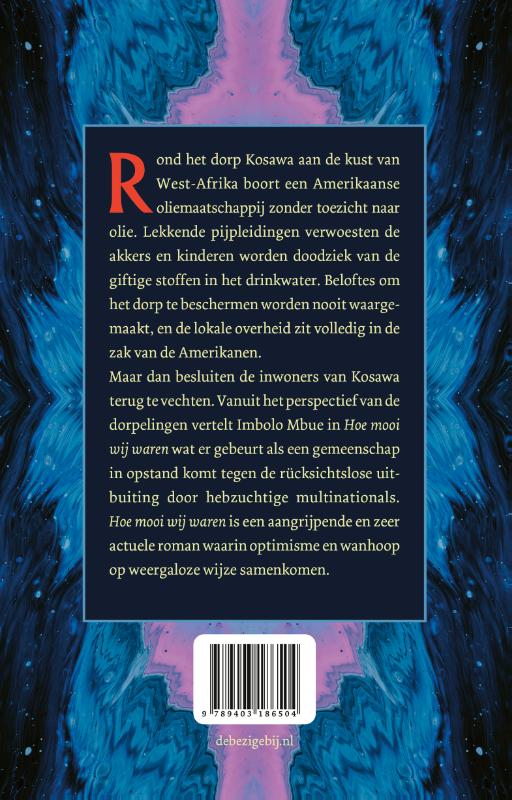 Achterkant van Hoe mooi wij waren