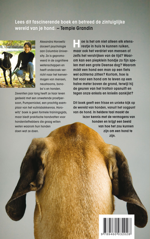 Achterkant van De wereld van de hond