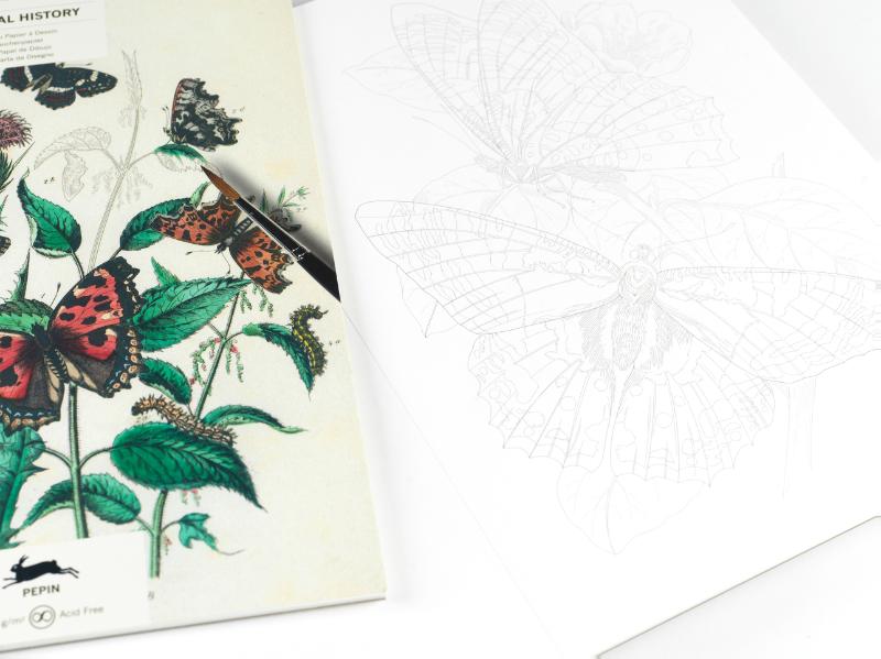 Achterkant van Natural History