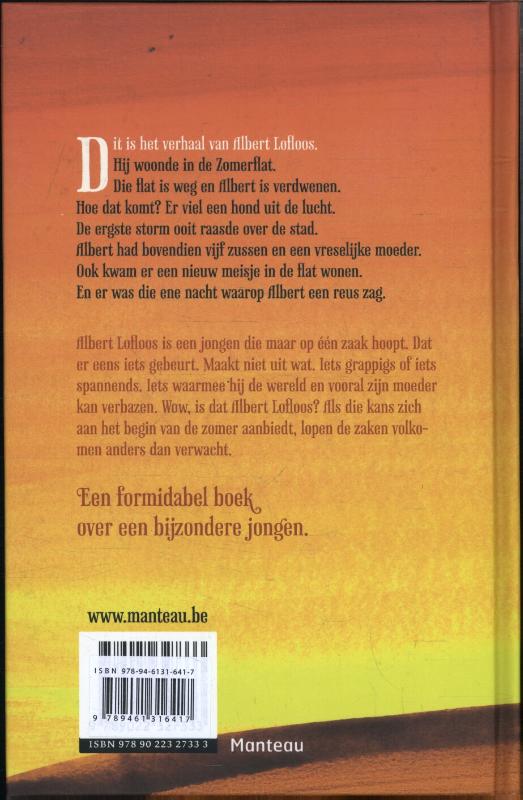 Achterkant van De reus van de zomerflat