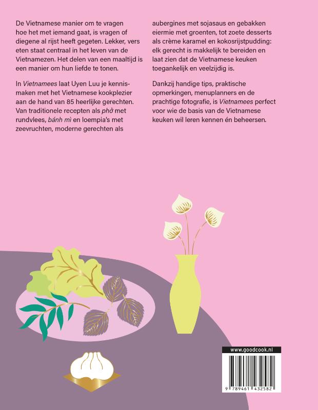 Achterkant van Vietnamees
