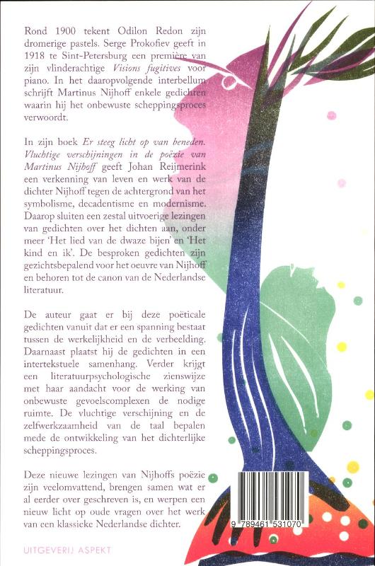 Achterkant van Er steeg licht op van beneden