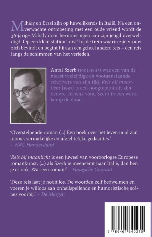 Achterkant van Reis bij maanlicht