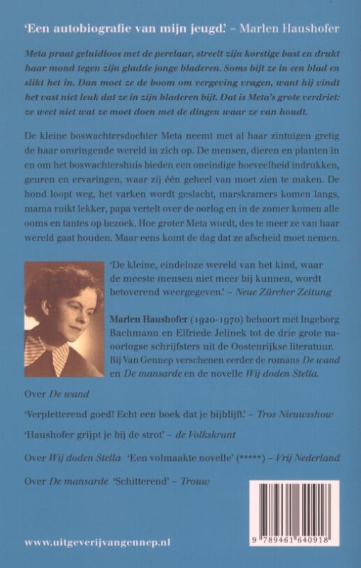 Achterkant van Hemel die nergens ophoudt