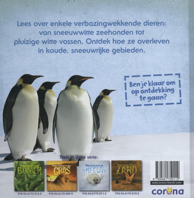 Achterkant van Verscholen in de sneeuw
