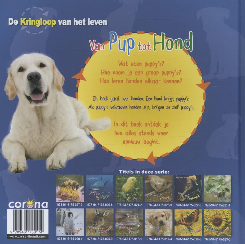 Achterkant van Van pup tot hond