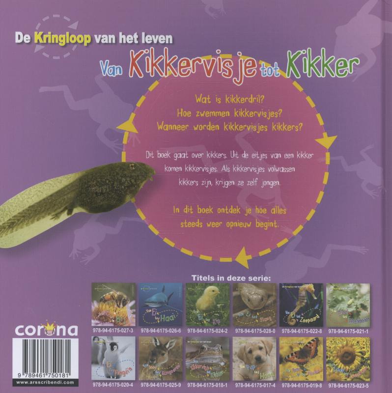 Achterkant van Van kikkervisje tot kikker