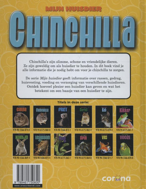 Achterkant van Chinchilla