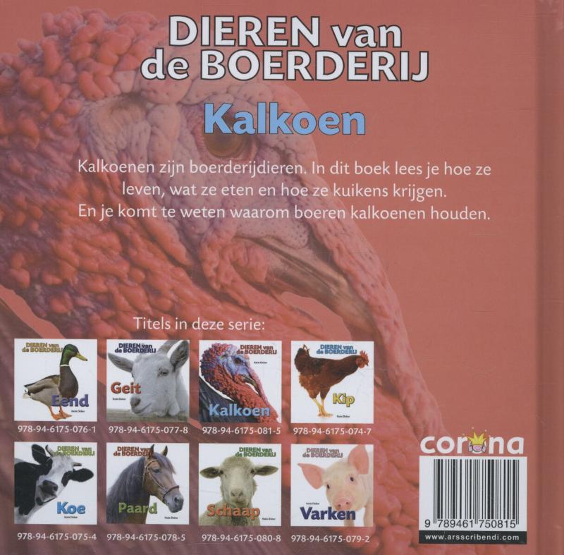 Achterkant van Kalkoen