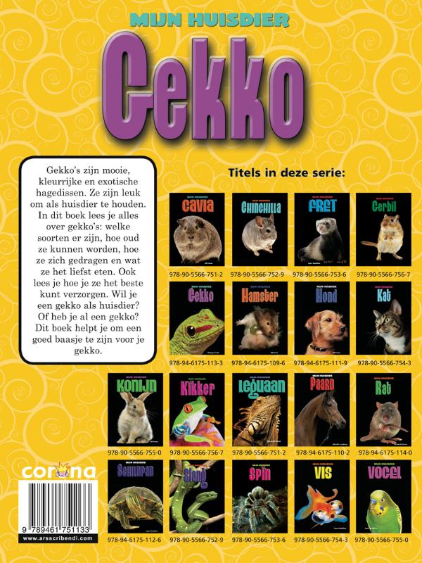 Achterkant van Gekko
