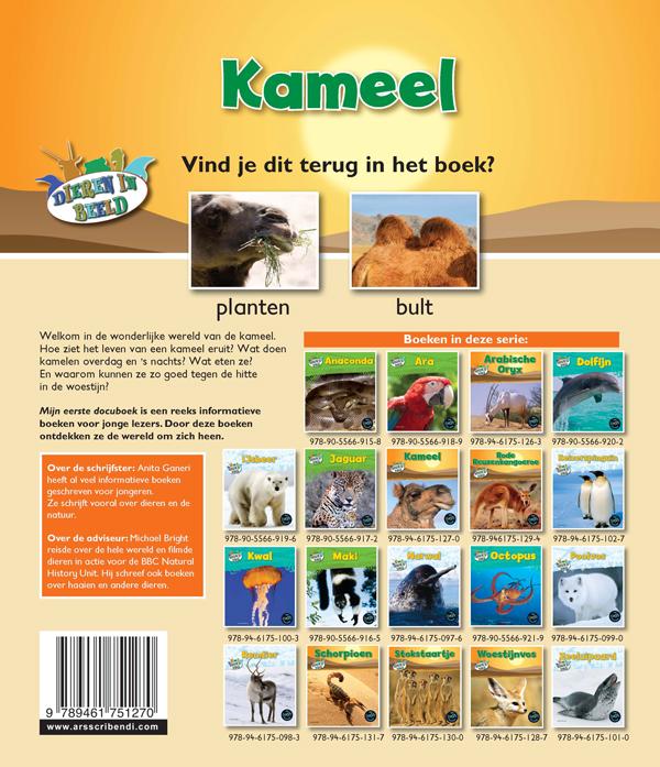 Achterkant van Kameel