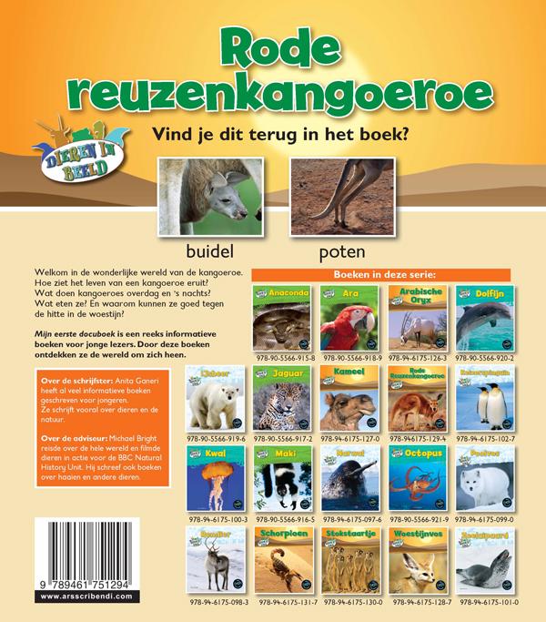 Achterkant van Rode reuzenkangoeroe