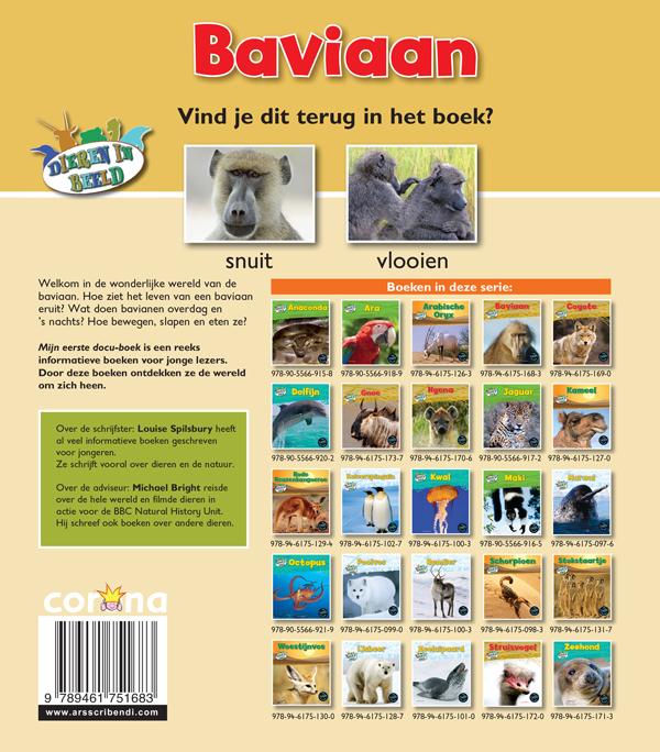 Achterkant van Baviaan