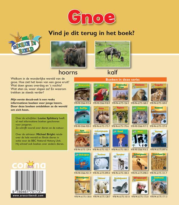 Achterkant van Gnoe