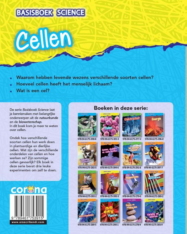 Achterkant van Cellen