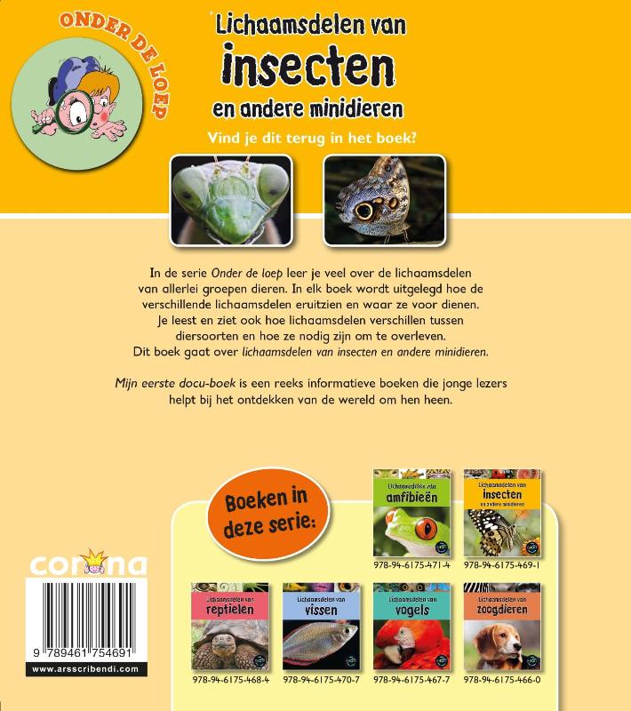 Achterkant van Lichaamsdelen van insecten